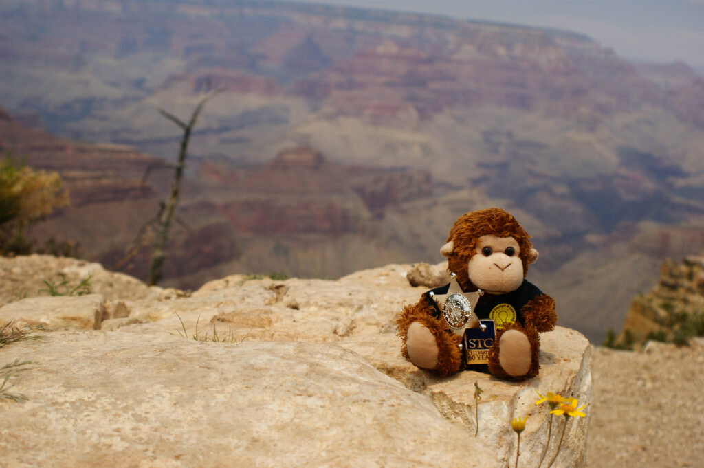 P&P SIG mascot Monte in a nature scene. Readers are asked to guess where he is as part of the P&P SIG's fun monthly contest, "Where in the World is Monte?"